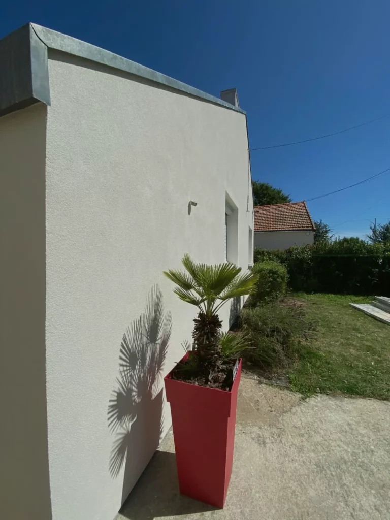 Mur extérieur avec enduit imperméabilisant pour une meilleure étanchéité, avec une plante en pot rouge en premier plan
