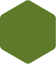 Forme décorative verte pour l'identité visuelle du site.