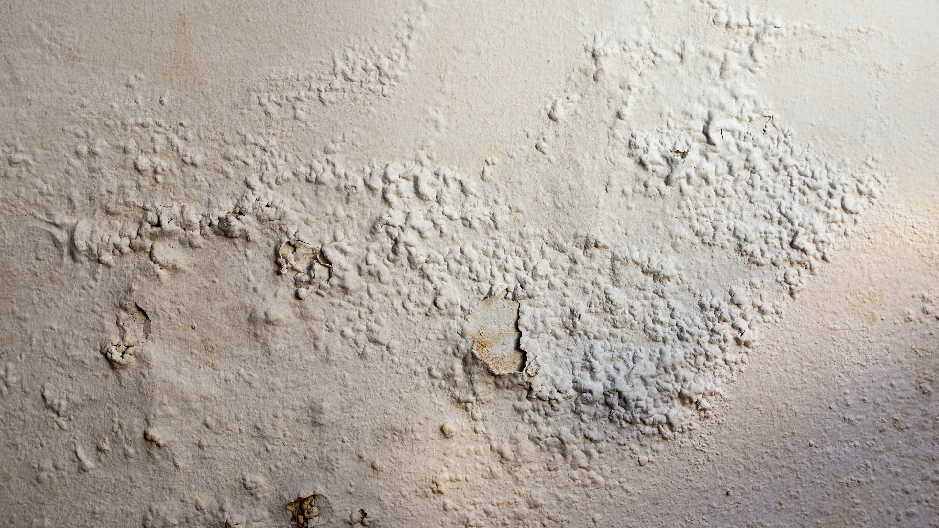 Mur humide